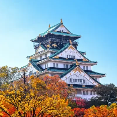 Automne au Japon – Une explosion de couleurs au cœur des paysages japonais pont entouré d'une forêt d’érables rouges au Japon en automne