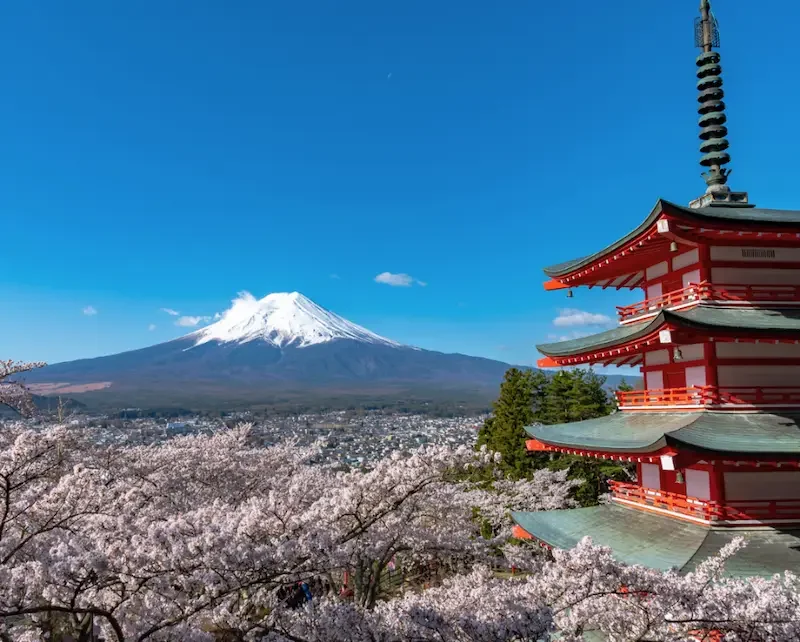 Pagode Chureito Mont Fuji Japon Pagode Chureito avec le mont Fuji et cerisiers en fleurs au Japon – voyage sur mesure Japon